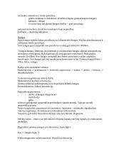 Telekomunikacinės sistemos 5 puslapis