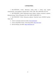 Akcinės bendrovės „Šaukštelis dovanos“ apibūdinimas ir veiklos dokumentai 19 puslapis