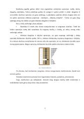 Nuo skaičiuotuvo iki kompiuterio 4 puslapis