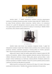 Nuo skaičiuotuvo iki kompiuterio 7 puslapis