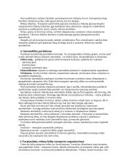 Transportavimo sprendimų strategija 2 puslapis