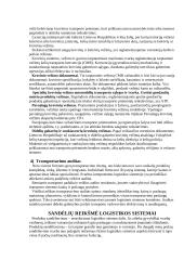 Transportavimo sprendimų strategija 3 puslapis