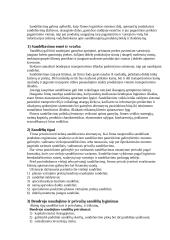 Transportavimo sprendimų strategija 4 puslapis