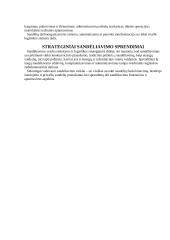 Transportavimo sprendimų strategija 6 puslapis