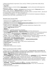 Nefrų konspektas 3 puslapis