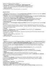 Nefrų konspektas 8 puslapis