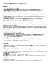 Nefrų konspektas 10 puslapis