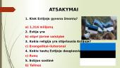Estija 11 puslapis
