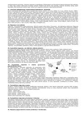 Urbanistikos teorija 13 puslapis