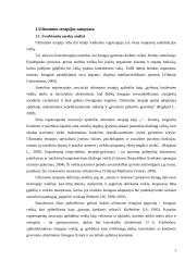 Užimtumo terapijos samprata