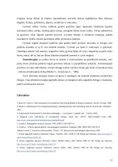 Užimtumo terapijos samprata 12 puslapis