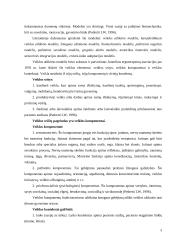 Užimtumo terapijos samprata 3 puslapis