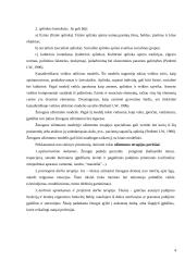 Užimtumo terapijos samprata 4 puslapis