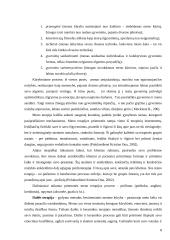 Užimtumo terapijos samprata 8 puslapis