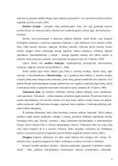 Užimtumo terapijos samprata 9 puslapis