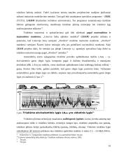 Transporto priemonių keliamo triukšmo valdymo politika 15 puslapis