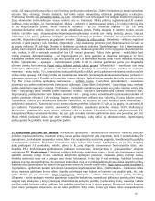 Užsieno prekyba 16 puslapis
