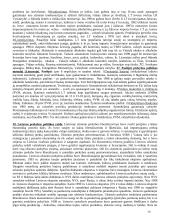 Užsieno prekyba 20 puslapis