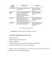 Vadovavimas ir vadovavimo stiliai (referatas) 10 puslapis