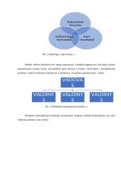 Vadovavimas ir vadovavimo stiliai (referatas) 11 puslapis