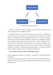 Vadovavimas ir vadovavimo stiliai (referatas) 12 puslapis