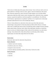 Vadovavimas ir vadovavimo stiliai (referatas) 4 puslapis