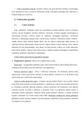 Vadovavimas ir vadovavimo stiliai (referatas) 6 puslapis