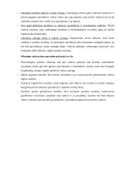 Vadovavimas ir vadovavimo stiliai (referatas) 9 puslapis