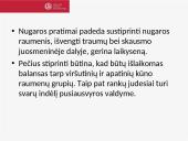 6 savaičių treniruočių planas 14 puslapis