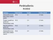 6 savaičių treniruočių planas 15 puslapis