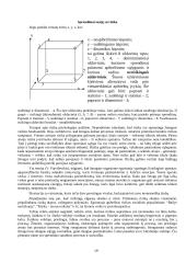 Vadybos samprata ir kryptys organizacijoje 18 puslapis