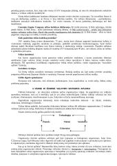 Vadybos samprata ir kryptys organizacijoje 7 puslapis
