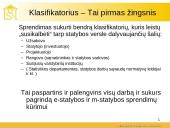 Statybos projekto santrauka 10 puslapis