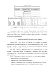 Naujo produkto rinkodaros strategijos formavimas ŽŪK „SGC“  9 puslapis
