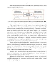 Naujo produkto rinkodaros strategijos formavimas ŽŪK „SGC“  10 puslapis