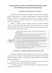Naujo produkto rinkodaros strategijos formavimas ŽŪK „SGC“  7 puslapis