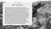 Pirmasis pasaulinis karas (pristatymas) 12 puslapis