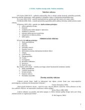 Vadybos informacija temomis 2 puslapis