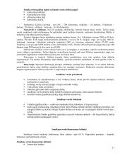 Vadybos informacija temomis 11 puslapis