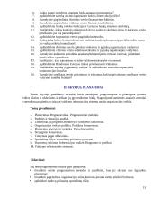 Vadybos informacija temomis 13 puslapis