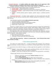 Vadybos informacija temomis 17 puslapis