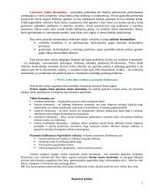 Vadybos informacija temomis 7 puslapis