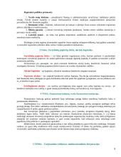 Vadybos informacija temomis 8 puslapis