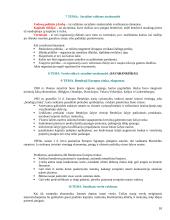 Vadybos informacija temomis 10 puslapis