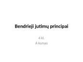 Bendrieji jutimų principai