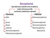 Bendrieji jutimų principai 3 puslapis