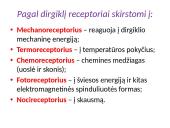 Bendrieji jutimų principai 4 puslapis