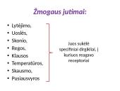 Bendrieji jutimų principai 6 puslapis