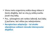 Bendrieji jutimų principai 7 puslapis