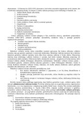 Vadybos teorinio kurso teminis aprašas 2 puslapis